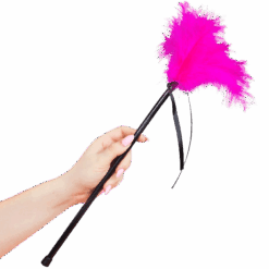 SECRETPLAY - PLUMERO PLUMAS ROSA 40 CM