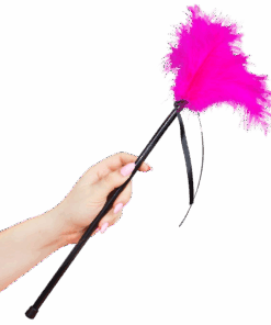SECRETPLAY - PLUMERO PLUMAS ROSA 40 CM