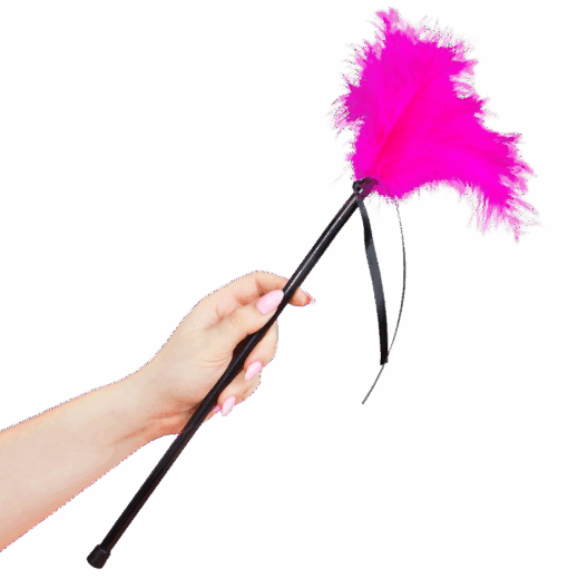 SECRETPLAY - PLUMERO PLUMAS ROSA 40 CM