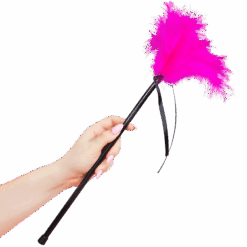 SECRETPLAY - PLUMERO PLUMAS ROSA 40 CM - piKanteo | Despierta tu lado más piKante