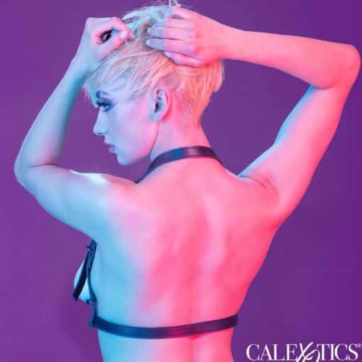 CALEXOTICS - EUPHORIA ARNÉS HATLER CON HEBILLA NEGRO - Imagen 6