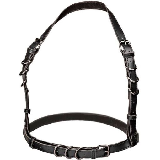 CALEXOTICS - EUPHORIA ARNÉS HATLER CON HEBILLA TALLA GRANDE NEGRO - Imagen 4