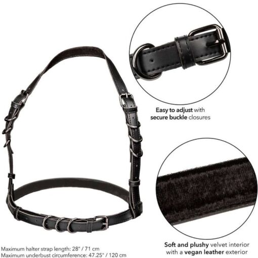 CALEXOTICS - EUPHORIA ARNÉS HATLER CON HEBILLA TALLA GRANDE NEGRO - Imagen 5