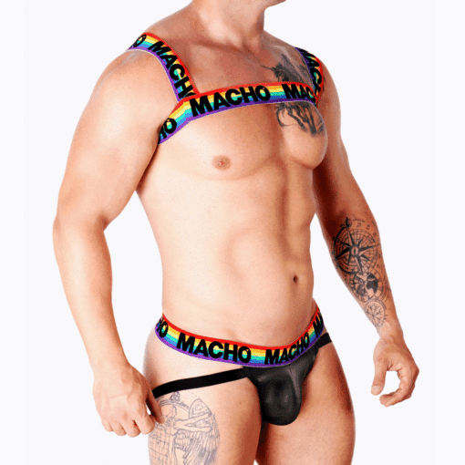 MACHO - ARNÉS DOBLE PRIDE LIMITED - Imagen 2
