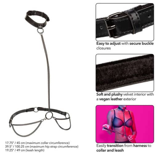 CALEXOTICS - EUPHORIA COLLAR HALTER Y CORREA CON CADENA - Imagen 3