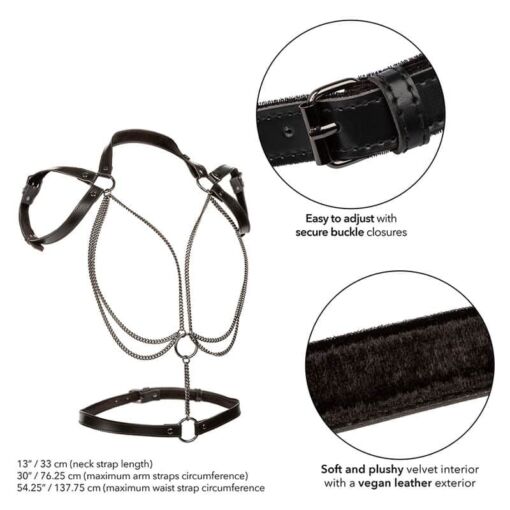 CALEXOTICS - EUPHORIA ARNÉS ESTILO CABESTRO CON MÚLTIPLES CADENAS PREMIUM TALLA PLUS - Imagen 3