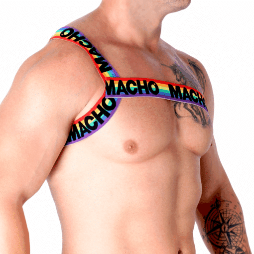 MACHO - ARNÉS ROMANO PRIDE L/XL - Imagen 6