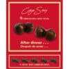 DIABLO PICANTE - CAJA 8 CHOCOLATINAS FORMA DE PECHOS