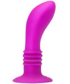 PRETTY LOVE - BOOTY PASSION PLUG CON VIBRACIÓN 10V