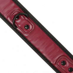 FETISH SUBMISSIVE DARK ROOM - COLLAR CON CADENA CON FORRO DE NEOPRENO - piKanteo | Despierta tu lado más piKante