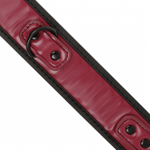 FETISH SUBMISSIVE DARK ROOM - COLLAR CON CADENA CON FORRO DE NEOPRENO - Imagen 4