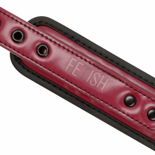 FETISH SUBMISSIVE DARK ROOM - COLLAR CON CADENA CON FORRO DE NEOPRENO - Imagen 6