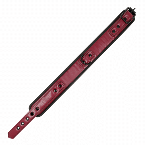 FETISH SUBMISSIVE DARK ROOM - COLLAR CON CADENA CON FORRO DE NEOPRENO - Imagen 7