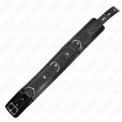 Comprar KINK - COLLAR CON CORREA 65 CM PESADO MODELO 1 AJUSTABLE 36.5-50 CM al mejor precio - Envíos Discretos