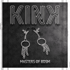 Comprar KINK - PINZAS PARA PEZONES CON ARO Y PEQUEÑAS CADENAS PLATEADO 6 CM al mejor precio - Envíos Discretos