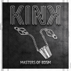 Comprar KINK - PINZAS PARA PEZONES CON CUBO PLATEADO al mejor precio - Envíos Discretos