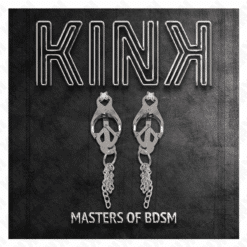Comprar KINK - PINZAS PARA PEZONES ESTILO JAPONÉS CON CADENAS PLATEADO al mejor precio - Envíos Discretos
