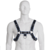 Comprar LEATHER BODY - ARNÉS CUERO AZUL Y NEGRO CHEST BULLDOG al mejor precio - Envíos Discretos