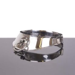 Comprar METAL HARD - COLLAR RESTRINGIDOR CON ANILLA al mejor precio - Envíos Discretos