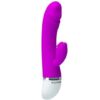 Comprar PRETTY LOVE - FLIRTATION VIBRADOR CON RABBIT DAVID al mejor precio - Envíos Discretos