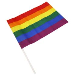 Comprar PRIDE - BANDERIN MEDIANO BANDERA LGBT al mejor precio - Envíos Discretos