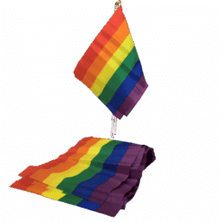 Comprar PRIDE - BANDERIN PEQUEÑO BANDERA LGBT al mejor precio - Envíos Discretos