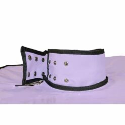 Comprar SECRET DOME - KINK CLUB CABINA BUKKAKE MORADO al mejor precio - Envíos Discretos
