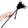 Comprar SECRETPLAY - PLUMERO PLUMAS NEGRO 40 CM al mejor precio - Envíos Discretos