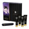 Comprar SHUNGA - KIT GEISHA NAUGHTY al mejor precio - Envíos Discretos