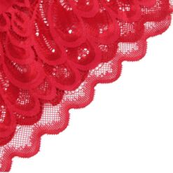 Comprar SUBBLIME - BABYDOLL SATINADO CON ENCAJE ROJO S/M al mejor precio - Envíos Discretos
