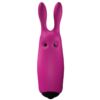 Comprar ADRIEN LASTIC - LASTIC POCKET VIBRADOR DE BOLSILLO CONEJO ROSA al mejor precio - Envíos Discretos