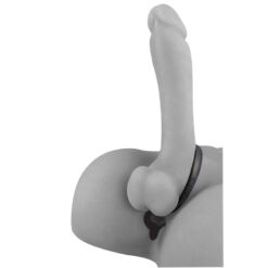 Comprar ANAL FANTASY ELITE COLLECTION - BOLAS ANALES ASS-GASM COCKRING al mejor precio - Envíos Discretos