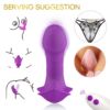 Comprar ARMONY - WHISTLE VIBRADOR INTRODUCIBLE CONTROL REMOTO VIOLETA al mejor precio - Envíos Discretos