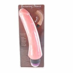 Comprar BAILE - VIBRADOR REALÍSTICO 19.5 CM al mejor precio - Envíos Discretos