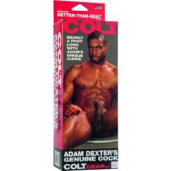 Comprar CALEXOTICS - COLT PENE REALÍSTICO ADAM DEXTER al mejor precio - Envíos Discretos