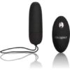 Comprar CALEXOTICS - HUEVO VIBRADOR DE SILICONA CON MANDO NEGRO al mejor precio - Envíos Discretos