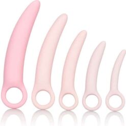 Comprar CALEXOTICS - INSPIRE KIT DILATADOR VAGINAL SILICONA 5 PCS al mejor precio - Envíos Discretos