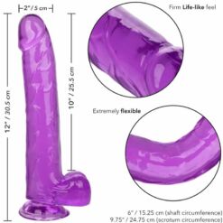 Comprar CALEXOTICS - SIZE QUEEN DILDO LILA 25.5 CM al mejor precio - Envíos Discretos