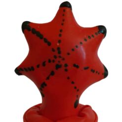 Comprar CONDOMERIE - PRESERVATIVO DECORATIVO PINTADO A MANO ESTRELLA DE MAR al mejor precio - Envíos Discretos