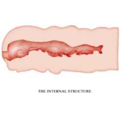 Comprar CRAZY BULL - ISABEL MASTURBADOR VAGINA 13.5 CM al mejor precio - Envíos Discretos