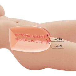 Comprar CRAZY BULL - TIFFANY TORSO FEMENINO REALISTA VAGINA Y ANAL 5.5 KG al mejor precio - Envíos Discretos