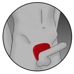 Comprar ELECTRASTIM - ACCESORIO ESTIMULACIÓN BASE PENE al mejor precio - Envíos Discretos