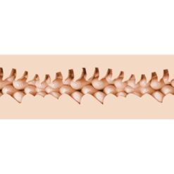 Comprar FLESHLIGHT FANTASY - EVIE AKASHIYA VAGINA al mejor precio - Envíos Discretos