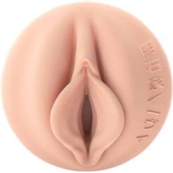Comprar FLESHLIGHT FANTASY - EVIE AKASHIYA VAGINA al mejor precio - Envíos Discretos