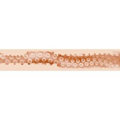 Comprar FLESHLIGHT FANTASY - SASHA NAKAMOTO VAGINA al mejor precio - Envíos Discretos