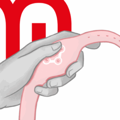 WATCHME - RELOJ CONTROL REMOTO WIRELESS TECHNOLOGY ROSORAL - piKanteo | Despierta tu lado más piKante