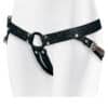 ADRIEN LASTIC - LASTIC STRAP-ON ARNÉS PARA DILDOS
