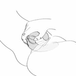 SHUNGA - MIYO MASAJEADOR INTIMO FUCSIA - piKanteo | Despierta tu lado más piKante