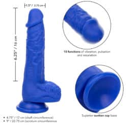 CALEXOTICS - ADMIRAL SAILOR DILDO REALÍSTICO VIBRADOR AZUL - piKanteo | Despierta tu lado más piKante