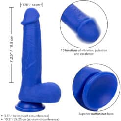 CALEXOTICS - ADMIRAL CAPTAIN DILDO REALÍSTICO VIBRADOR AZUL - piKanteo | Despierta tu lado más piKante